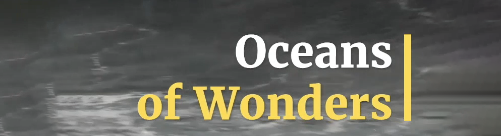Oceans of Wonders