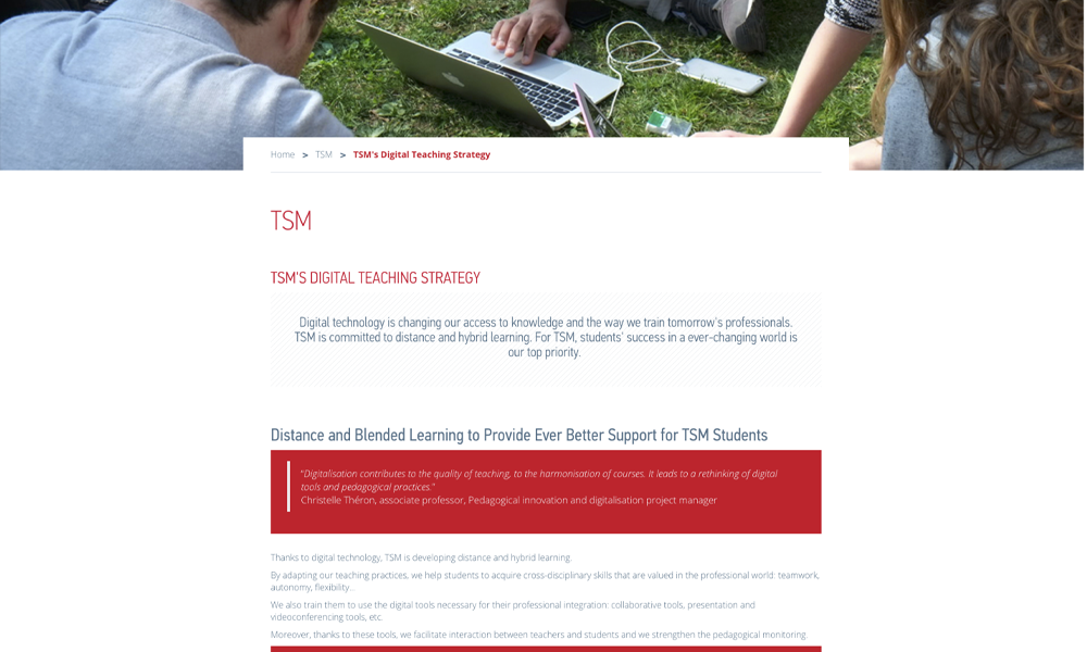 screenshot TSM's Digital Teaching Strategy